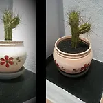 Casa Eden *